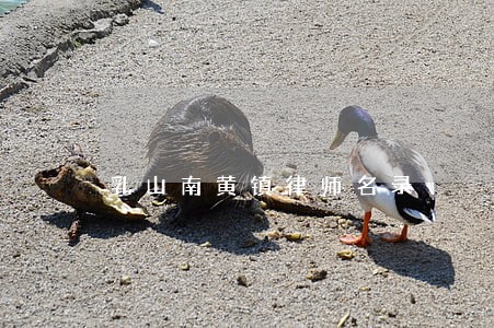 乳山南黄镇律师名录 乳山南黄镇律师名录