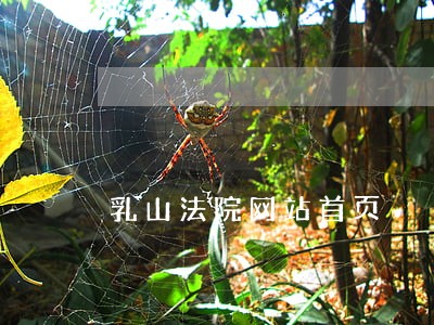 乳山法院网站首页