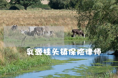 乳源桂头镇保险律师 乳源桂头镇保险律师