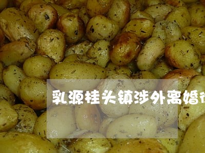 乳源桂头镇涉外离婚律师