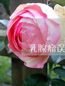 乳腺瘤误诊为乳腺癌司法报告书