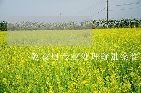 乾安县专业处理疑难案件律师 乾安县专业处理疑难案件律师