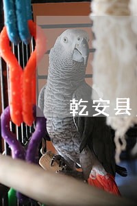 乾安县免费法律咨询热线 乾安县免费法律咨询热线