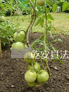乾安县法律顾问律师在线免费咨询 乾安县法律顾问律师在线免费咨询