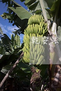 乾安法院立案信息 乾安法院立案信息