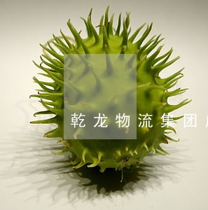 乾龙物流集团广州分公司法人 乾龙物流集团广州分公司法人