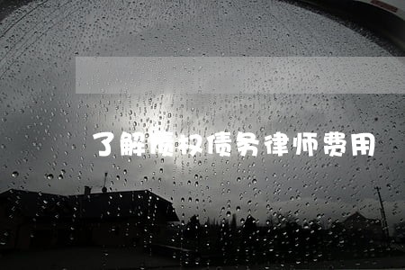 了解债权债务律师费用 了解债权债务律师费用