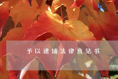 予以逮捕法律意见书 予以逮捕法律意见书