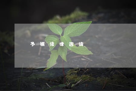予祺法律咨询