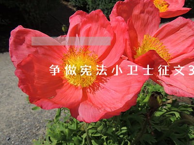 争做宪法小卫士征文300字 争做宪法小卫士征文300字