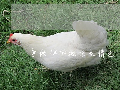 争做律师微信表情包 争做律师微信表情包