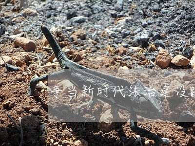 争当新时代法治建设路上的追梦人 争当新时代法治建设路上的追梦人