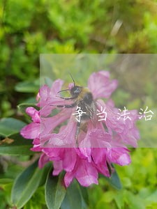 争当法治政府建设的排头兵 争当法治政府建设的排头兵