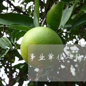 事业单位人格混同不受法律制裁吗 事业单位人格混同不受法律制裁吗