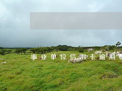 事业单位信用卡逾期怕不怕 事业单位信用卡逾期怕不怕