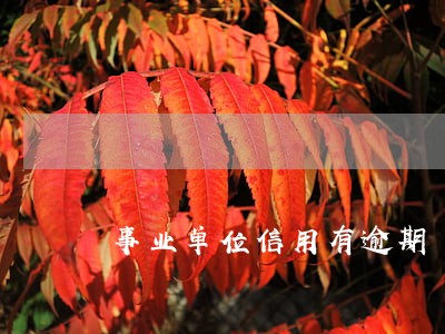 事业单位信用有逾期 事业单位信用有逾期