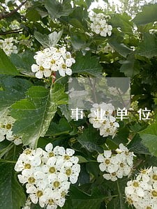 事业单位党员干部触犯刑法 事业单位党员干部触犯刑法