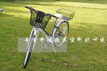 事业单位技术岗职称评定 事业单位技术岗职称评定