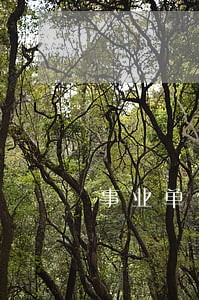 事业单位法定假日不放假违法吗