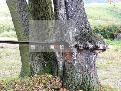 事业单位法律咨询费 事业单位法律咨询费