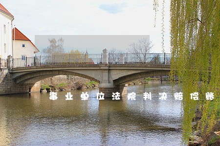 事业单位法院判决赔偿账务处理