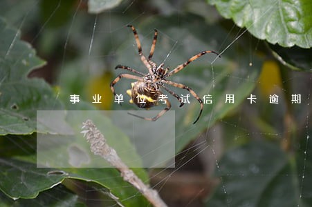事业单位考试信用卡逾期 事业单位考试信用卡逾期