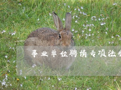 事业单位聘请专项法律顾问的报告 事业单位聘请专项法律顾问的报告