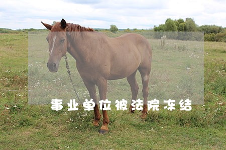 事业单位被法院冻结 事业单位被法院冻结