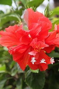 事业单位资格审查中信用卡逾期 事业单位资格审查中信用卡逾期