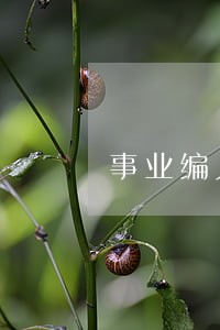 事业编人员受劳动法保护吗 事业编人员受劳动法保护吗