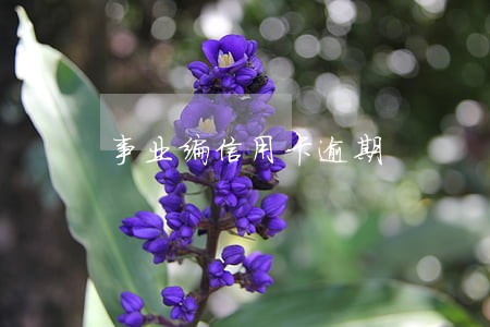 事业编信用卡逾期 事业编信用卡逾期
