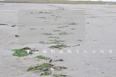 事业编制逾期可以办信用卡吗 事业编制逾期可以办信用卡吗