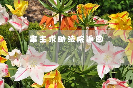 事主求助法院追回 事主求助法院追回