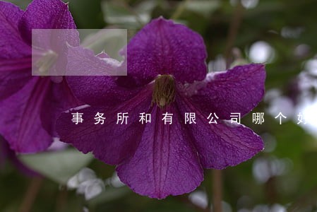 事务所和有限公司哪个好 事务所和有限公司哪个好