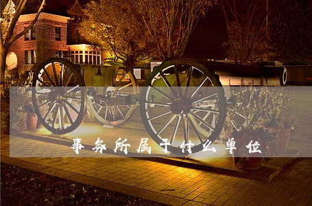 事务所属于什么单位 事务所属于什么单位