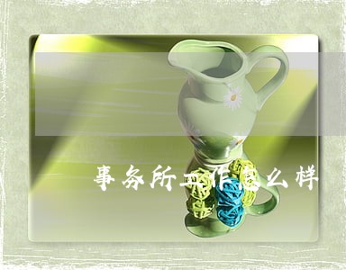 事务所工作怎么样 事务所工作怎么样
