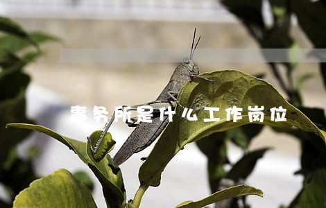事务所是什么工作岗位