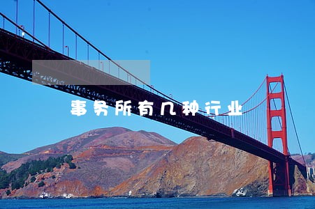 事务所有几种行业 事务所有几种行业