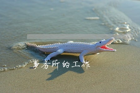 事务所的工作