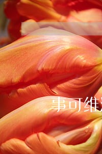 事可维法律咨询有限公司 事可维法律咨询有限公司