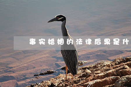 事实婚姻的法律后果是什么呢 事实婚姻的法律后果是什么呢
