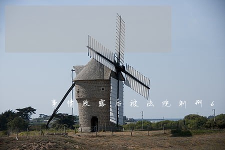 事情败露后被法院判刑6个月 事情败露后被法院判刑6个月