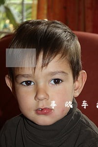 事故车法律咨询