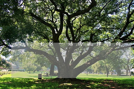 二七区一站式法律咨询 二七区一站式法律咨询