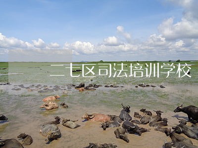二七区司法培训学校