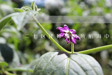 二七区律师事务所航海中路 二七区律师事务所航海中路