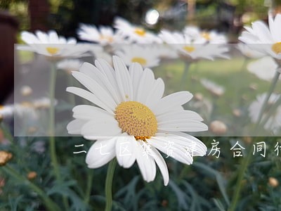 二七区集资建房合同律师网 二七区集资建房合同律师网
