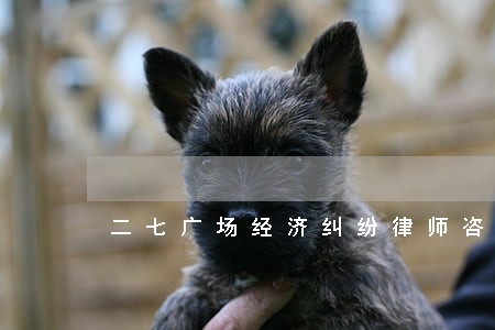 二七广场经济纠纷律师咨询 二七广场经济纠纷律师咨询