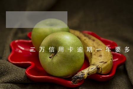 二万信用卡逾期一年要多少钱 二万信用卡逾期一年要多少钱