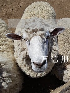 二万信用卡逾期变三万多 二万信用卡逾期变三万多